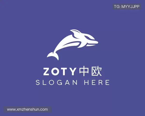 介绍zoty中欧